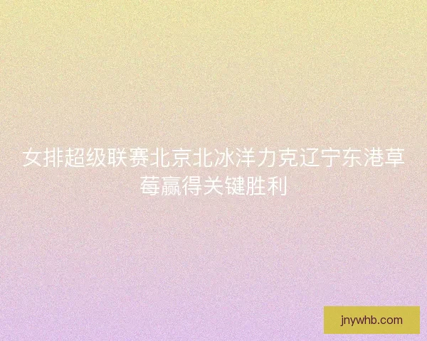 女排超级联赛北京北冰洋力克辽宁东港草莓赢得关键胜利 女排超级联赛北京北冰洋力克辽宁东港草莓赢得关键胜利